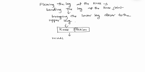 which-of-the-following-muscles-does-not-flex-the-leg-at-the-knee-multiple-choice-semitendinosus-rectus-femoris-biceps-femoris-semimembranosus-50598