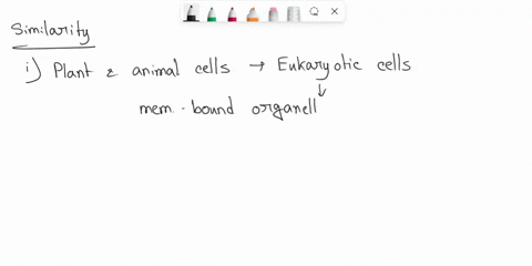 orranization-cell-type-unicellular-argregate-colonial-multicellular-protist-piant-animal-amoeba-piesc-jzel-absea-ekel-n2-no-stentor-bsent-alsnt-arsew-abs-pat-eukorlutil-njo-al-scenedesmus-pe-68083