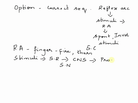 place-the-following-events-of-a-reflex-arc-in-the-correct-order-1-motor-neuron-activation-2-sensory-neuron-activation-3-sensory-receptor-activation4-information-processing-5-effector-respons-19576