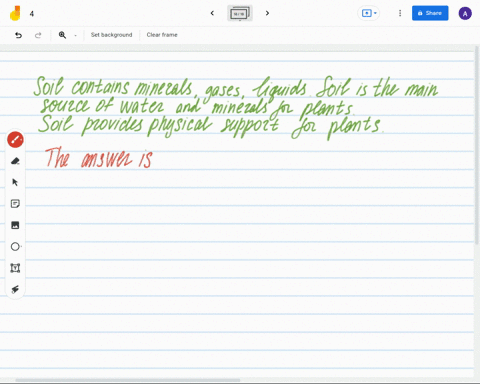 soil-is-the-main-source-of-___-for-plants-water-mineral-nutrients-physical-support-all-are-correct-15552