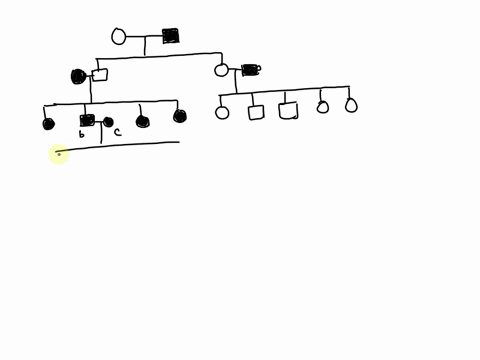 the-following-family-pedigree-shows-individuals-afflicted-with-a-metabolic-disease-what-is-the-mode-of-inheritance-shown-in-this-pedigree-if-the-couple-b-and-were-to-have-2-boys-and-2-girls-04825