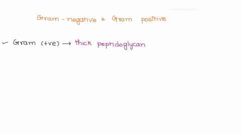the-differences-between-gram-negative-and-gram-positive-bacteria-are-numerous-and-important-explain-what-the-differences-are-and-give-examples-of-benefits-of-each-structure-as-well-as-costs-60883