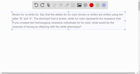 brown-fur-vs-white-fur-say-that-the-alleles-for-fur-color-brown-or-white-are-written-using-the-letter-b-and-b-the-dominant-trait-is-brown-white-fur-color-represents-the-recessive-trait-if-yo-75741