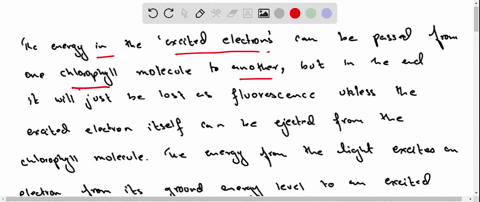 when-light-excites-chlorophyll-the-chlorophyll-molecule-does-what
