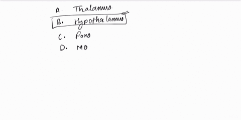 the-thermoregulatory-centre-of-the-body-is-present-in-a-thalamus-b-hypothalamus-c-pons-d-medulla-oblongata-59793