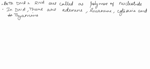 which-of-the-following-are-true-statements-regarding-the-differences-between-rna-and-dna-check-all-that-apply-only-dna-is-considered-polymer-of-nucleotides_-dna-has-types-of-nucleotide-bases-82126