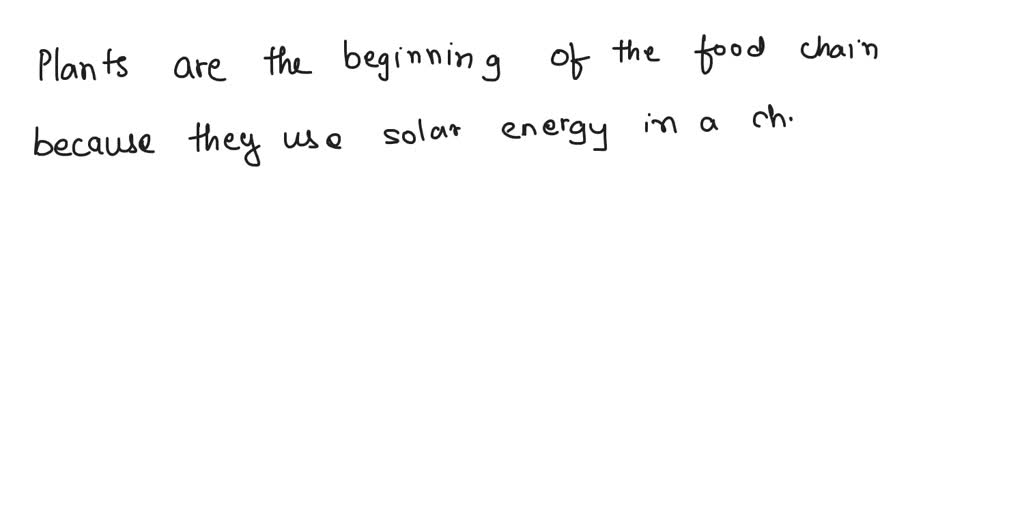 SOLVED What makes plants the beginning of the food chain? 1. All