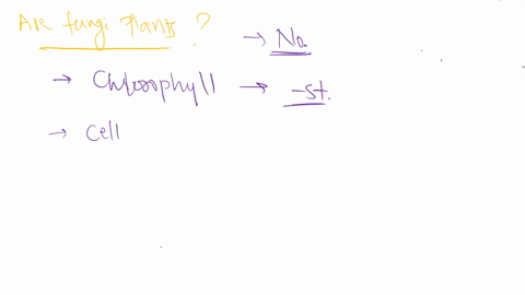 what-type-of-morphology-cellular-structures-or-arrangement-would-you-observe-in-your-samples-are-fungi-plants-where-are-fungi-found-how-do-fungi-grow-what-are-3-types-of-protozoans-are-proto-36362