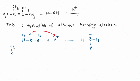 the-following-chemical-equation-is-for-an-addition-reaction-where-the-important-atoms-groups-and-bonds-involved-have-been-highlighted-for-you-use-the-information-provided-to-predict-the-missing-organi