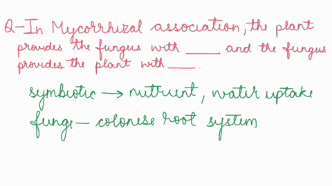 question-24-in-a-mycorrhizal-association-the-plant-provides-the-nutrients-such-35-fungus-with-nitrogen-and-the-fungus-provides-the-plant-with-phosphorus-an-equal-amount-of-nutrients-such-not-49897
