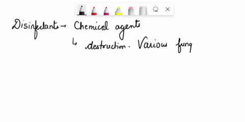 choosc-the-correct-sequence-of-increasing-resistance-levcls-to-dislnfectants-vegetative-fungi-fungal-spores-vegetative-bacteria-bacterial-sporcs-fungal-spores-bacterial-spores-vegetative-fun-41598