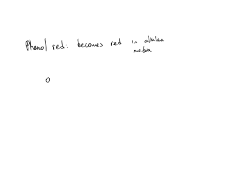phenol-red-indicator-changes-from-yellow-to-red-in-the-ph-range-from-66-to-80-state-what-color-the-indicator-will-assume-in-the-following-solution-020-m-kohaq-a-red-b-yellow-c-red-yellow-mix-73286