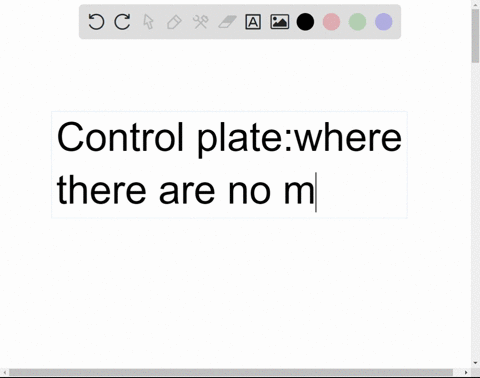 what-is-meant-by-a-control-plate-what-purpose-does-a-control-serve-80342