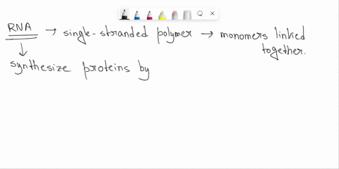 what-information-does-rna-code-for-a-dna-replication-b-protein-synthesis-c-polypeptide-building-d-gene-production-90377