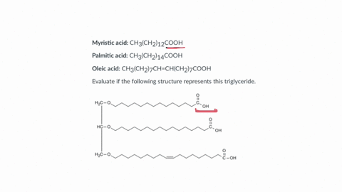 question-11-4-4-pts-a-triglyceride-consists-of-one-myristic-acid-one-palmitic-acid-and-one-oleic-acid-myristic-acid-mathrmch_3leftmathrmch_2right_12-mathrmcooh-palmitic-acid-mathrmch_3leftmathrmch_2ri