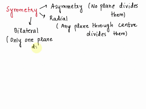 label-each-organism-with-its-symmetry-fill-in-asymmetry-radial-or-bilateral-1-humans-__________-2-sponges-________-3-starfish-_______-4-monkey-________-5-baboons-_______-6-flatworms-_______-13023