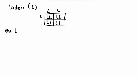 expert-qa-activities-calculate-the-probability-of-passing-down-a-lactose-persistence-allele-using-the-following-information-ifa-father-has-two-copies-ofa-lactose-persistence-allele-he-is-hom-52803