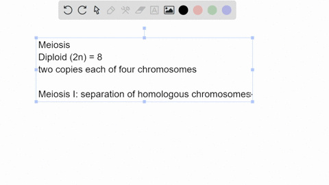 if-a-diploid-cell-of-an-organism-contains-8-chromosomes-how-many-chromosomes-will-each-daughter-cell-contain-after-meiosis-ii-59931
