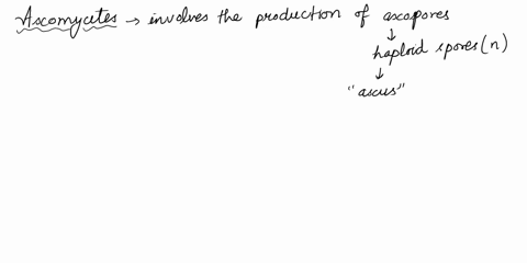 the-ascomycete-life-cycle-typically-includes-a-mainly-diploid-thalli-b-the-formation-of-a-thick-zygo-84785