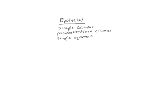 place-the-following-names-of-tissues-in-the-appropriate-tissue-category-5-epithelial-tissue-areolar-compact-bone-connective-tissue-nervous-simple-squamous-ebook-simple-columnar-references-el-83692