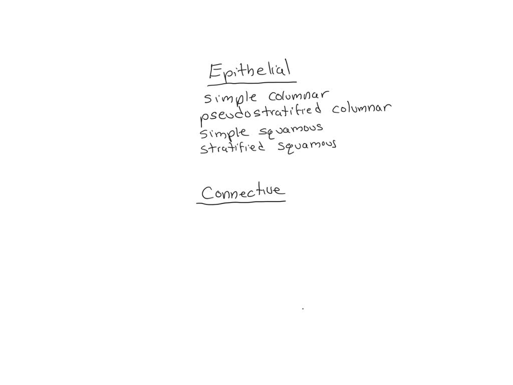 solved-fill-in-the-flow-chart-on-connective-tissue-to-show-the-proper-hierarchy-of-the-tissue