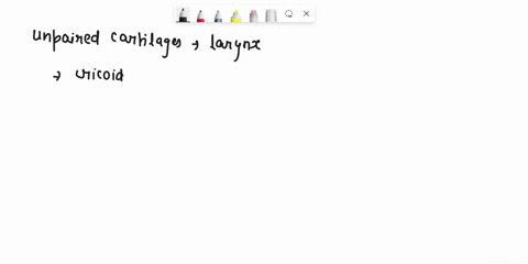 all-of-the-following-are-unpaired-cartilages-of-the-larynx-except_-all-of-these-are-unpaired-cartilages-cricoid-cartilage-thyroid-cartilage-epiglottis-70216