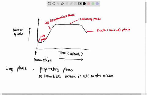 lab-bacterial-growth-showing-growth-time-and-y-sketch-curve-for-batch-growth-of-ecoli-with-x-axis-growth-axis-showing-number-of-cells-label-phases-of-growth-how-do-you-think-the-above-curve-83816