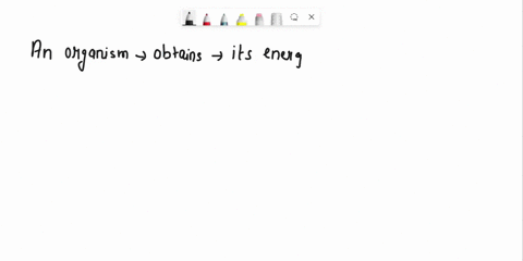 an-organism-that-obtains-its-energy-from-chemicals-chemotroph-heterotroph-and-autotroph-phototroph-and-chemotroph-none-of-the-obove-15542