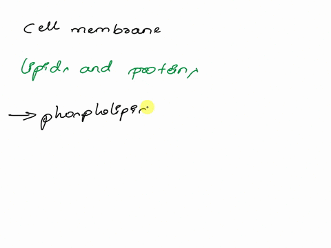 the-primary-structural-components-of-the-cell-membrane-are-03474