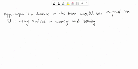 which-structure-is-highlighted-multiple-choice-basal-nuclei-hippocampus-substantia-nigra-red-nucleus-gracile-nucleus-59589