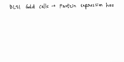 researchers-purified-and-analyzed-ard1-protein-involved-in-ubiquitination-discussed-again-on-the-last-page-of-this-assignment-the-methods-section-from-the-publication-e3-ubiquitin-ligase-act-85678