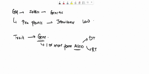 which-describes-a-mendelian-traita-humans-have-either-attached-earlobes-or-detached-earlobes-bhuman-body-mass-is-controlled-by-many-genes-c-blood-type-in-humans-has-several-diffrent-alleles-73557