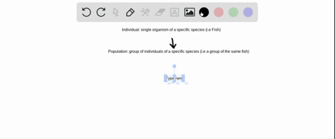 which-term-represents-the-different-groups-of-organisms-living-together-in-a-specific-area-a-biosphere-b-ecosystem-c-community-d-population-04703