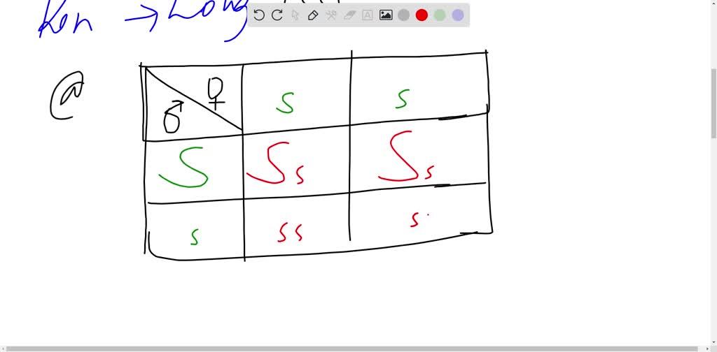 SOLVED EXERCISE 14 PROBLEMS Using Squares Name Date