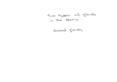 fill-in-the-blank-question-on-maty-parts-of-the-body-the-components-of-the-dermis-include-blood-veisels-square-glands-square-gimads-hair-follicles-nal-rooth-sensory-neve-endingh-and-smooth-mascle-tisw