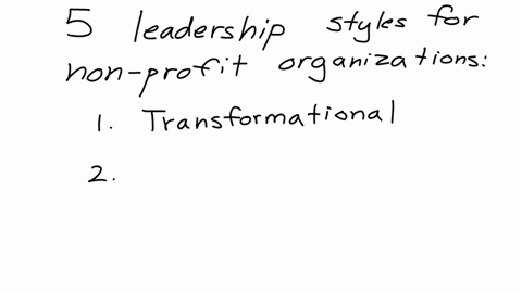 determine-project-leadership-and-governance-when-consulting-nonprofit-organization