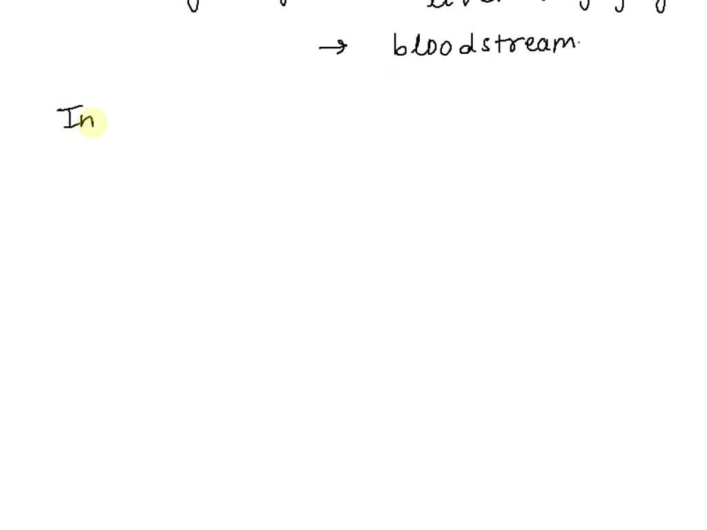 SOLVED: What is the storage form for carbohydrates in plants? What is the  storage form for carbohydrates in the human body? What hormone breaks this storage  form down to release glucose into