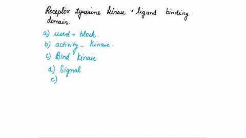 receptor-tyrosine-kinases-you-may-want-to-review-this-family-of-receptors-have-a-ligan-binding-domain-on-the-outside-of-a-cell-and-a-kinase-domain-on-the-inside-of-the-cell-select-all-tru-st-58056