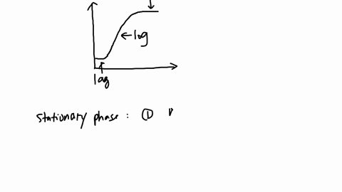 63-what-does-the-persistence-of-the-stationary-phase-during-the-growth-of-bacteria-depend-on
