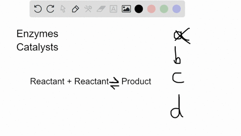 which-of-the-following-statements-regarding-enzymes-is-true-select-one-a-enzymes-increase-the-rate-of-a-reaction-by-reducing-the-rate-of-reverse-reactions-b-enzymes-increase-the-rate-of-a-re-32404