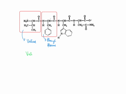 name-the-tetrapeptide-using-the-three-letter-amino-acid-abbreviations-9-hnn_ch_c-n-ch-c-n-ch-c-n-ch-c_0-hc-ch-ch-h-chz-h-ch_cnh-ch-a-val-trp-pro-asn-b-leu-tyr-pro-glu-c-val-phe-his-asn-dglu-10956