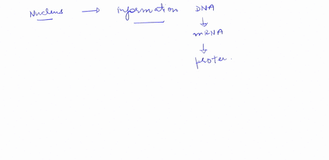 1-describe-how-the-nucleus-ribosomes-rough-er-golgi-apparatus-and-plasma-membrane-interact-to-produce-and-release-a-protein-molecule-from-the-cell-21191