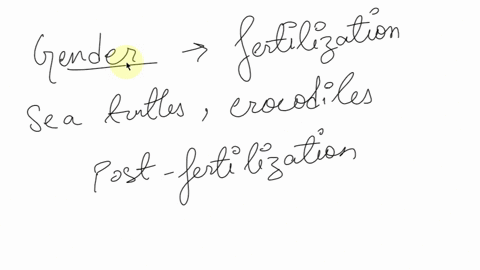 100e-80-1-60-1-40-20-haaaaa-28-29-30-31-temperature-c-27-figure-percentage-of-sea-turtles-that-develop-as-females-at-different-average-nest-temperatures_-the-bars-represent-the-temperature-r-71015