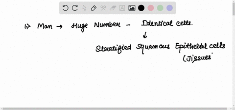 match-the-level-of-organization-with-its-example-a-mass-of-huge-numbers-of-identical-or-nearby-identical-cells-such-as-stratified-squamous-epithelial-cells-1-system-all-of-the-following-toge-88544