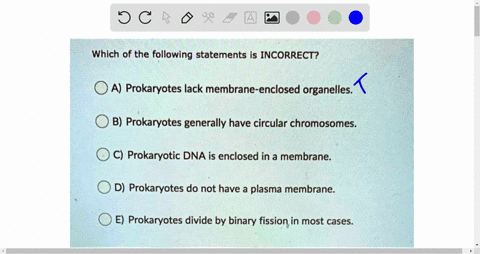 which-of-the-following-statements-is-incorrect-a-prokaryotes-lack-membrane-enclosed-organelles-b-prokaryotes-generally-have-circular-chromosomes-c-prokaryotic-dna-is-enclosed-in-a-membrane-d-38003