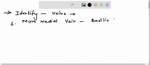 part9veins-of-the-upper-limbopen-30453046-vein-to-identifybrachiocephalic-vein-subclavian-vein-ce-cubital-veinbrachial-veinulnar-veinradial-vein-veinmediar-the-upper-limbs-are-drained-by-a-s-47694