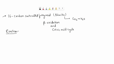 clearly-describe-atp-productionuse-in-the-complete-oxidation-of-the-16-carbon-saturated-fatty-acid-palmitic-acid-to-carbon-dioxide-and-water-via-b-oxidation-and-the-citric-acid-cycle_-includ-65628