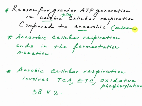 in-the-presence-of-oxygen-gas-a-bacillus-species-can-generate-38-moles-of-atp-or-atp-like-molecules-per-mole-of-glucose-oxidized-by-aerobic-respiration-during-this-process-several-pathways-a-91922