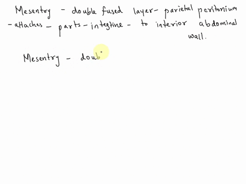 the-mesentery-is-a-fused-double-layer-of-the-parietal-peritoneum-that-attaches-parts-of-the-intestine-to-the-interior-abdominal-wall-true-false-43385