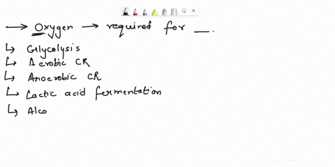 question-oxygen-is-required-for-glycolysis-acrobic-cellular-respiration-anacrobic-cellular-respiration-lactic-acid-fermentation-alcoholic-fermentation-52831